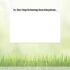 Estrogen Dominance and Weight Gain: The Hormonal Link